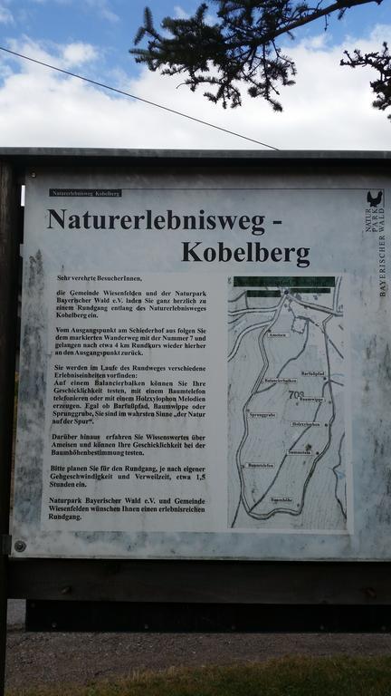 Waldgasthof - Hotel Schiederhof Wiesenfelden Luaran gambar