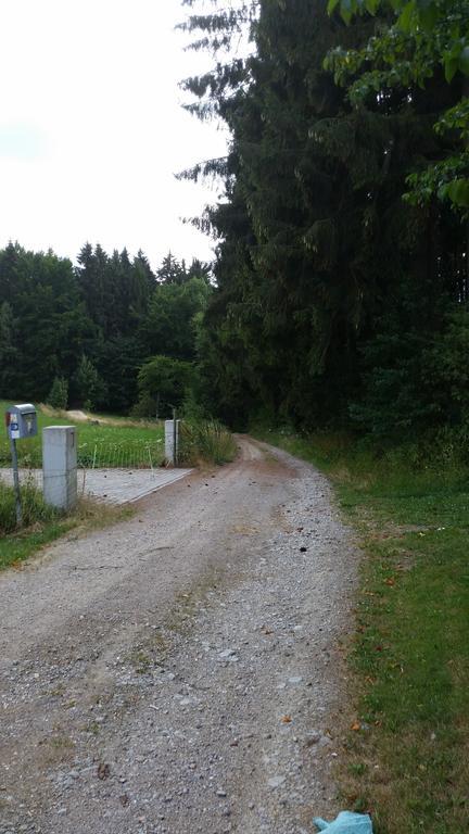 Waldgasthof - Hotel Schiederhof Wiesenfelden Luaran gambar